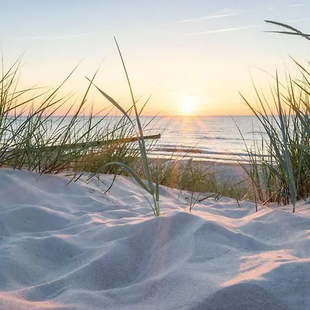 Apartment White Pearl 1.10