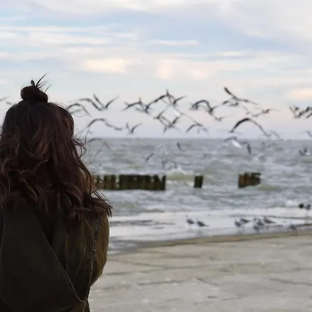 White Pearl 1.10 * Timmendorfer Strand