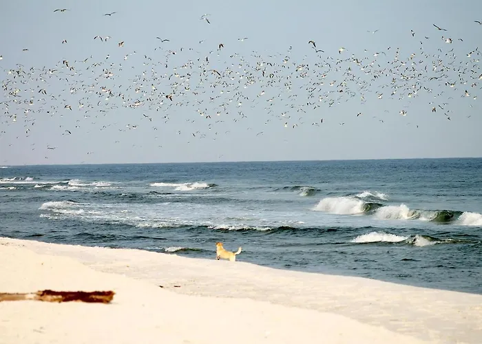 White Pearl 1.10 Timmendorfer Strand